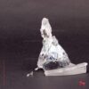 Assepoester - Afbeelding 2