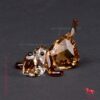 Peppino de hond - Afbeelding 3