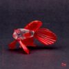 Siamese vechtvis rood - Afbeelding 2