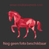 Winnie the Pooh gekleurd - Afbeelding 4