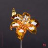 Engel Emily - Afbeelding 46