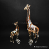 Zodiac Betrouwbare Os - Afbeelding 21