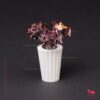 Rozen boeket