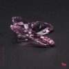Vlinder Rosaline - Afbeelding 4