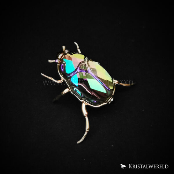 SCS 2024 Idyllia beetle