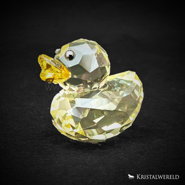 Happy duck - sunny sandy