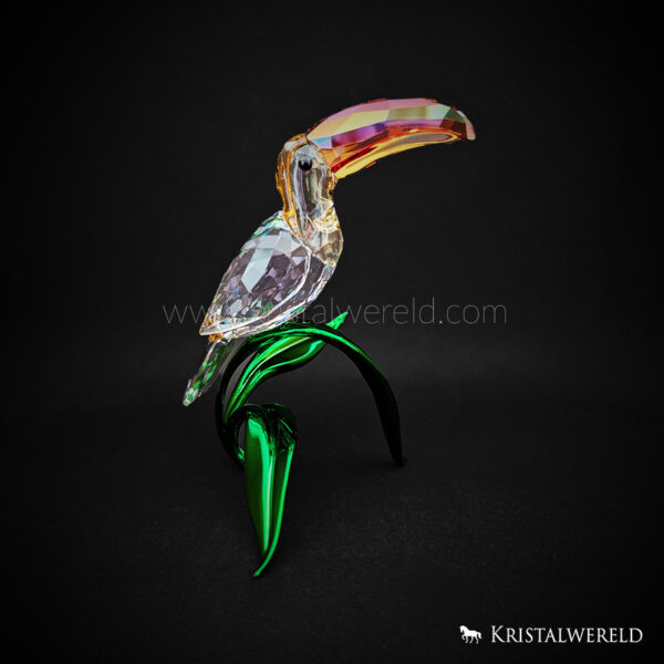 Idyllia toucan