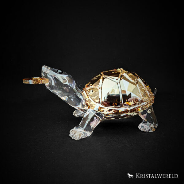 Asian symbols - schildpad