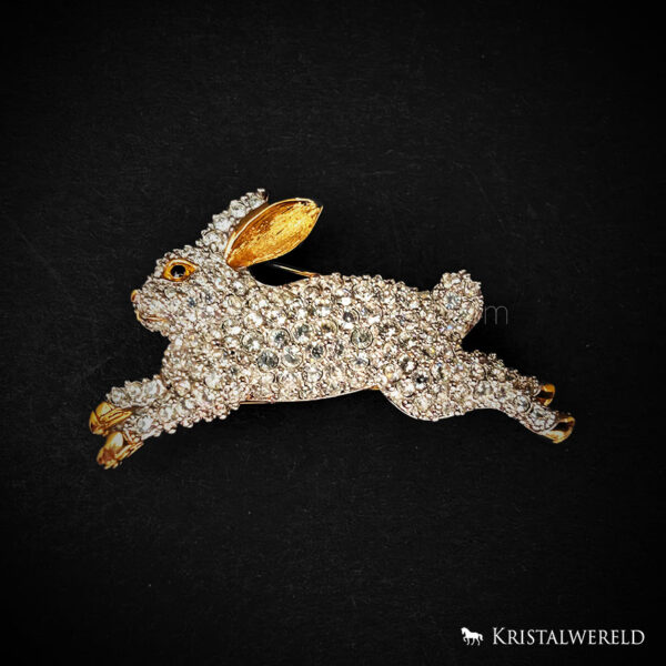 Broche haas