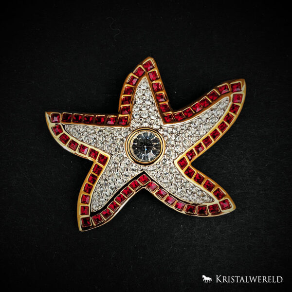 Broche zeester