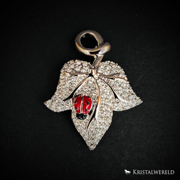 Broche lieveheersbeestje op blad