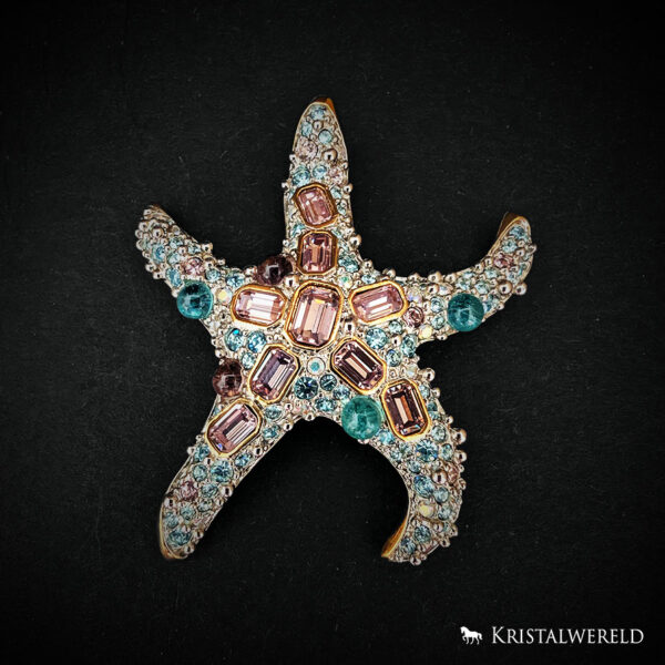 Broche zeester