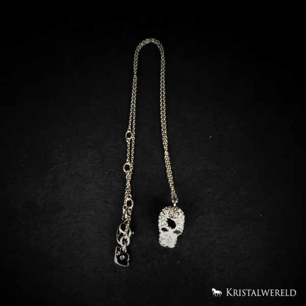Collier met schedel