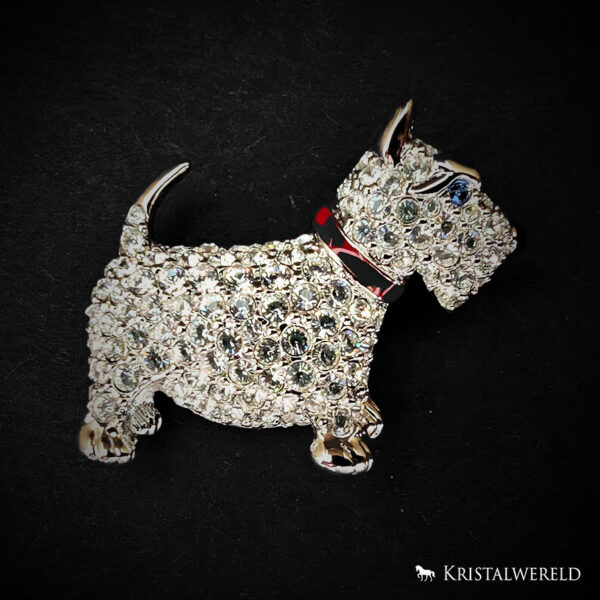 Broche hond terriër