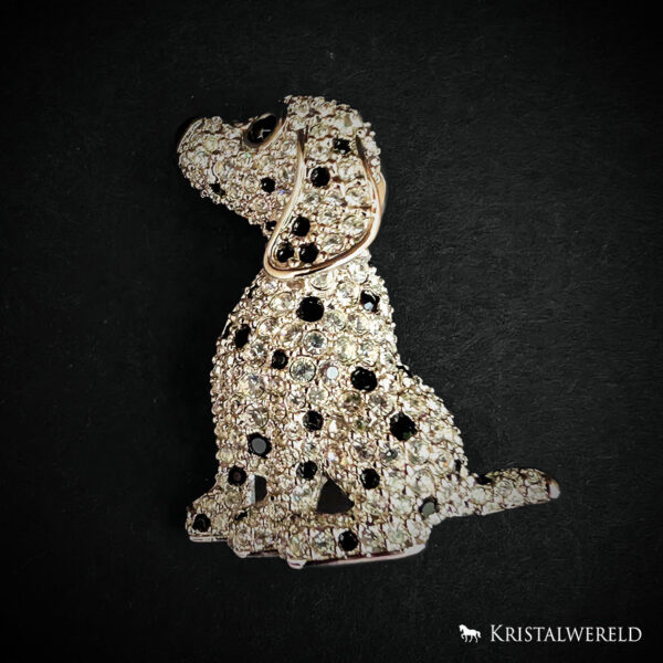 Broche Dalmatiër puppy